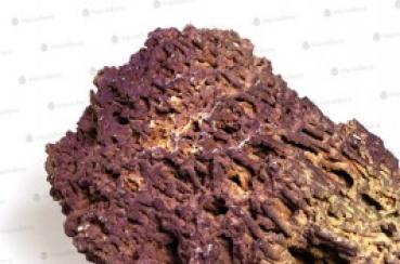 Aquadeco JURASSIC Reef-Rock  (Preis pro kg - 9,50 €)